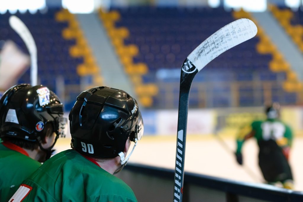 hockey game, stadion, ice skating rink